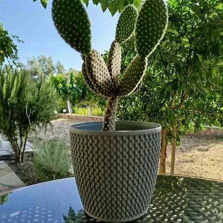 Riverside αpartments * Vasiliki