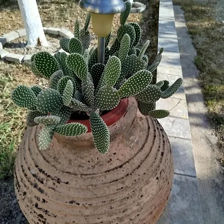 Riverside αpartments *