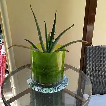 Riverside αpartments Apartment