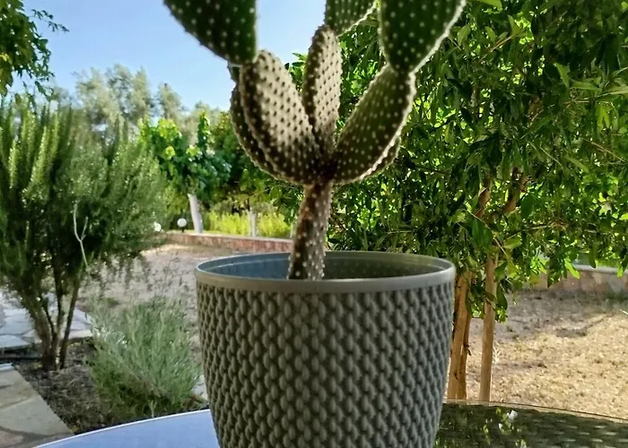 Riverside αpartments * 瓦西利基