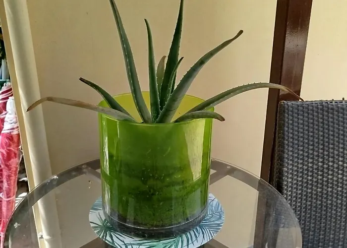 Riverside αpartments 公寓