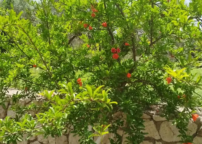 公寓 Riverside αpartments *