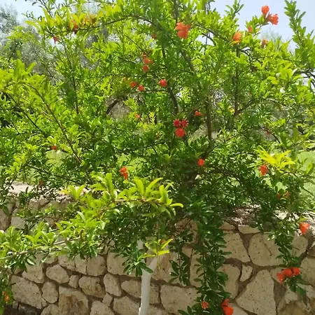 Apartmán Riverside αpartments *